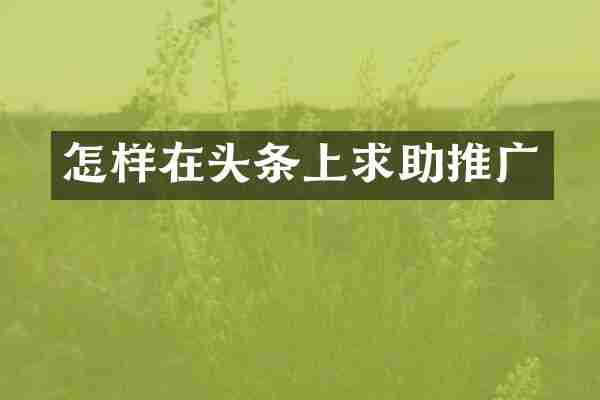 怎样在头条上求助推广