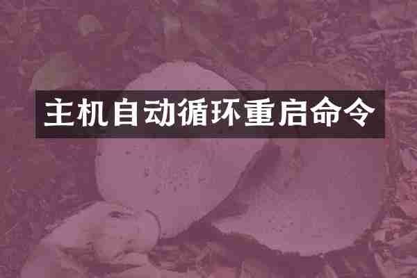 主机自动循环重启命令