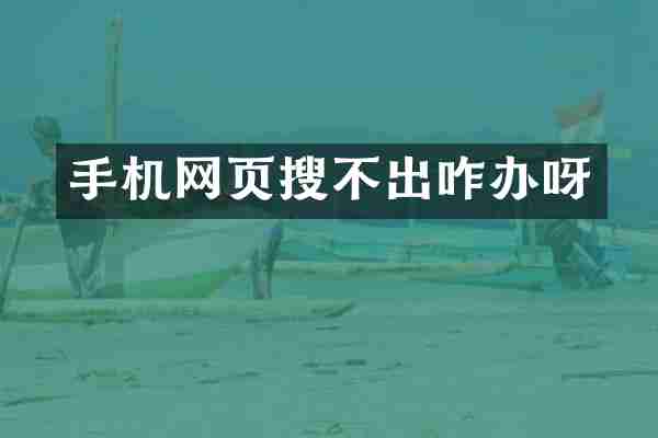 手机网页搜不出咋办呀