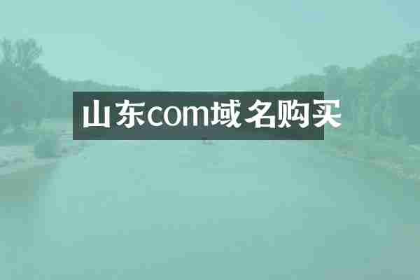 山东com域名购买