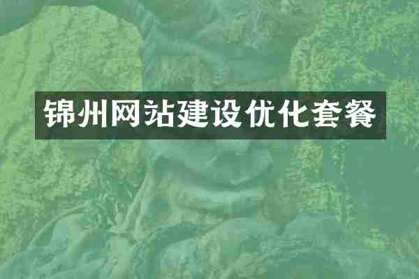 锦州网站建设优化套餐