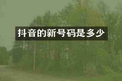 抖音的新号码是多少