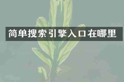 简单搜索引擎入口在哪里