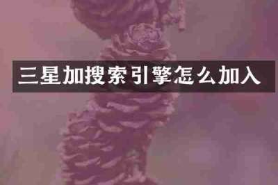 三星加搜索引擎怎么加入