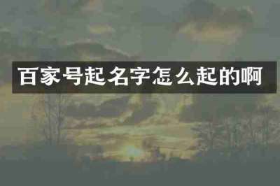 百家号起名字怎么起的啊