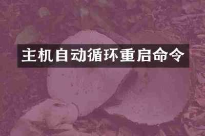 主机自动循环重启命令