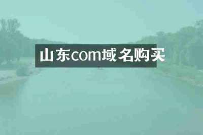 山东com域名购买