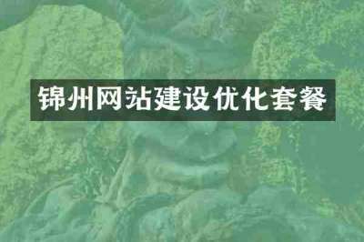 锦州网站建设优化套餐