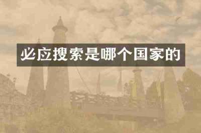必应搜索是哪个国家的