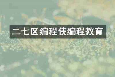 二七区编程侠编程教育