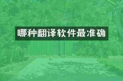 哪种翻译软件最准确
