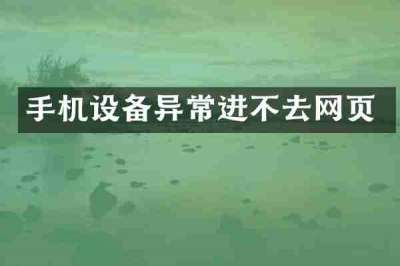 手机设备异常进不去网页
