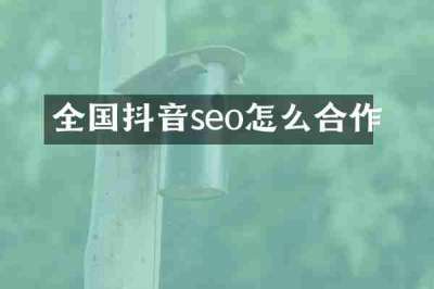 全国抖音seo怎么合作