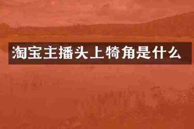 淘宝主播头上犄角是什么