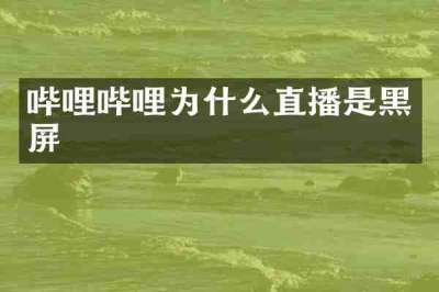 哔哩哔哩为什么直播是黑屏