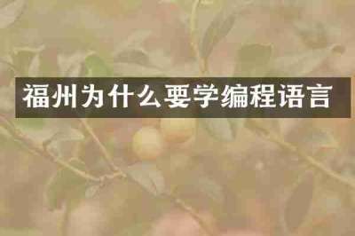 福州为什么要学编程语言