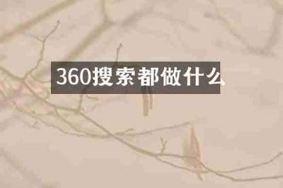 360搜索都做什么