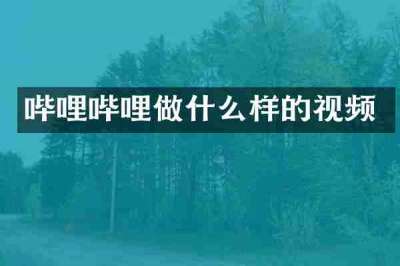哔哩哔哩做什么样的视频
