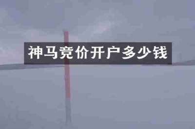神马竞价开户多少钱