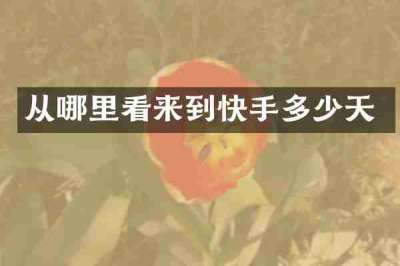 从哪里看来到快手多少天