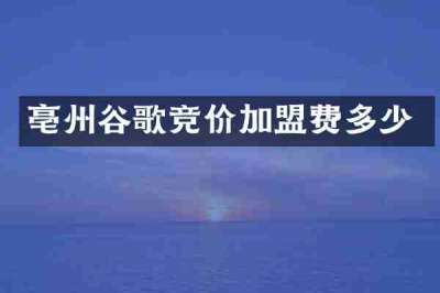亳州谷歌竞价加盟费多少