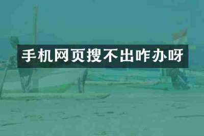 手机网页搜不出咋办呀