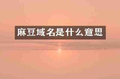 麻豆域名是什么意思