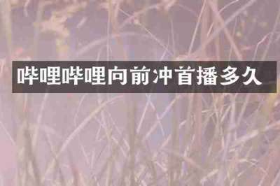 哔哩哔哩向前冲首播多久