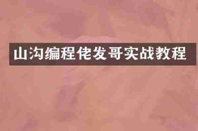 山沟编程佬发哥实战教程