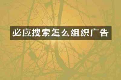 必应搜索怎么组织广告