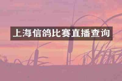 上海信鸽比赛直播查询