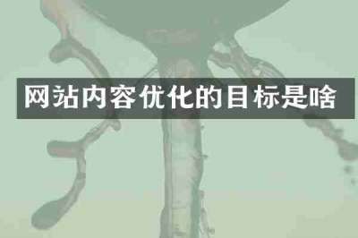 网站内容优化的目标是啥