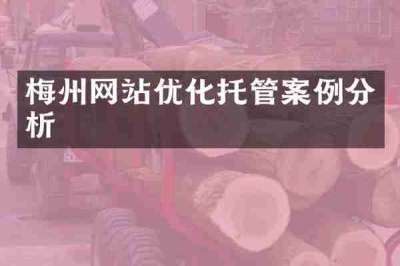 梅州网站优化托管案例分析