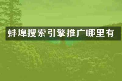 蚌埠搜索引擎推广哪里有