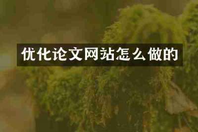 优化论文网站怎么做的