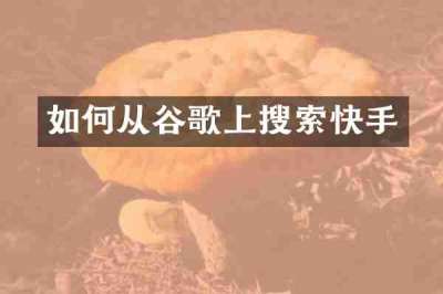 如何从谷歌上搜索快手