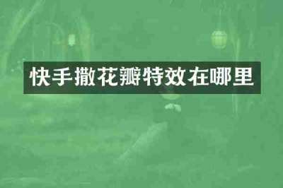 快手撒花瓣特效在哪里