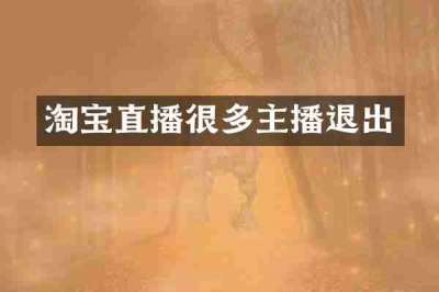 淘宝直播很多主播退出