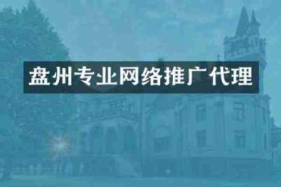 盘州专业网络推广代理