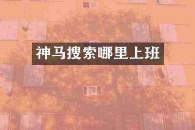 神马搜索哪里上班