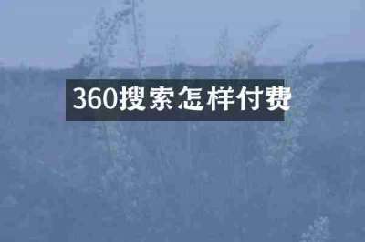360搜索怎样付费