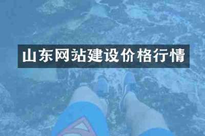 山东网站建设价格行情