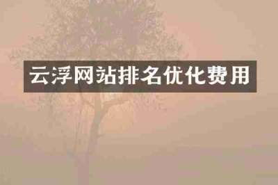 云浮网站排名优化费用
