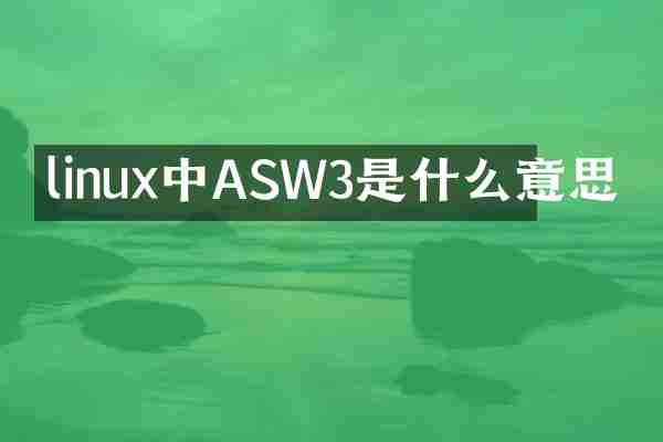 linux中ASW3是什么意思