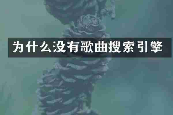 为什么没有歌曲搜索引擎