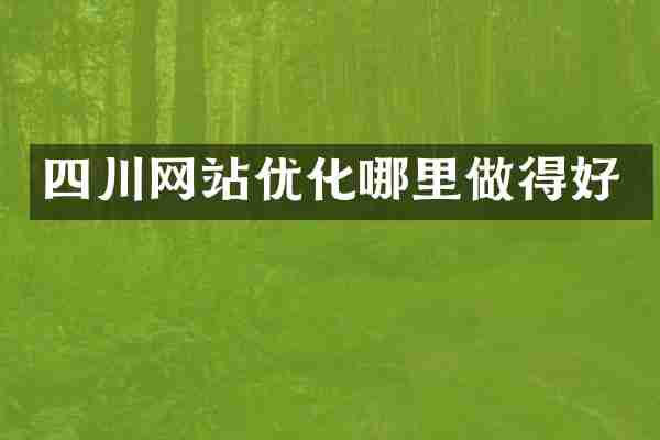 四川网站优化哪里做得好