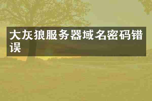 大灰狼服务器域名密码错误
