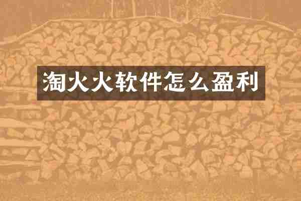 淘火火软件怎么盈利