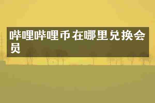 哔哩哔哩币在哪里兑换会员