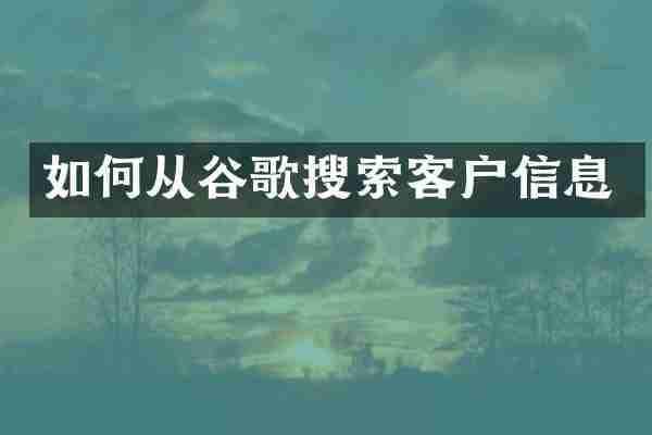 如何从谷歌搜索客户信息